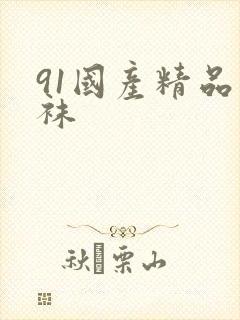 91国产精品丝袜封面