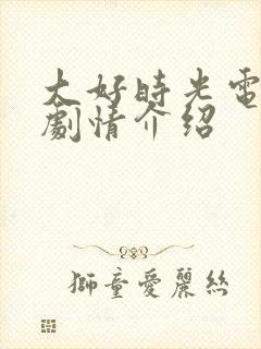 大好时光电视剧剧情介绍