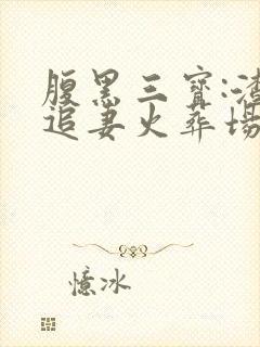 腹黑三宝:渣爹追妻火葬场小说