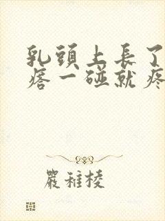 乳头上长了小疙瘩一碰就疼封面