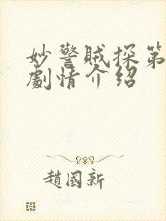 妙警贼探第二季剧情介绍