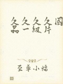 久久久久国产精品一级片