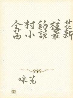 全村的校花叶茜茜小说最新章节封面