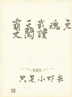 霸天武魂免费全文阅读