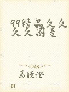 99精品久久久久久国产