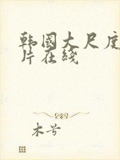 韩国大尺度伦理片在线