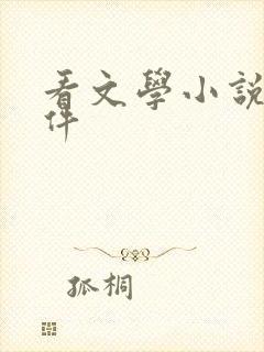 看文学小说的软件