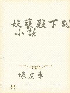 妖孽殿下别太宠 小说