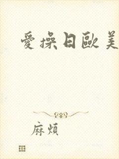 爱操日欧美封面