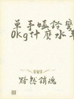 单手哑铃弯举30kg什么水平