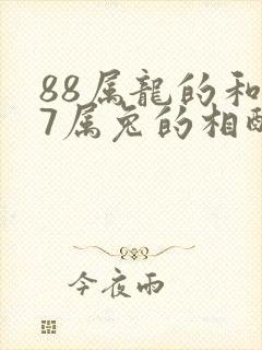 88属龙的和87属兔的相配吗封面