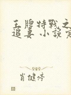 王牌特战之权少追妻 小说完整板