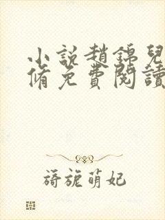 小说赵锦儿秦慕修免费阅读封面