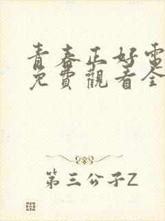 青春正好电视剧免费观看全集封面