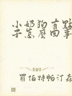 小奶狗有点拉肚子怎么回事