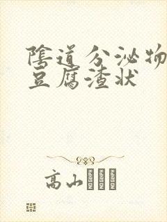 阴道分泌物黄色豆腐渣状