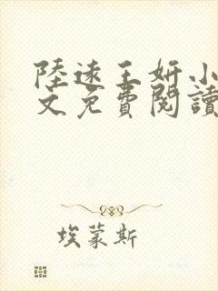 陆远王妍小说全文免费阅读封面