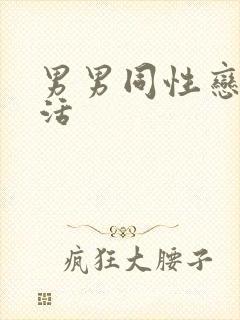 男男同性恋性生活