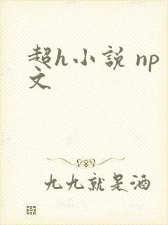 超h小说 np文