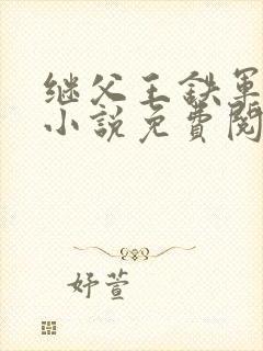 继父王铁军周梅小说免费阅读封面