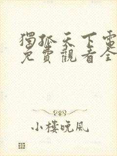 独孤天下电视剧免费观看全集高清