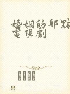 婚姻的那点事儿电视剧