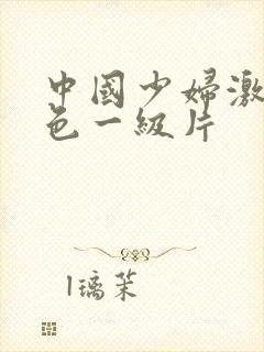 中国少妇激情黄色一级片