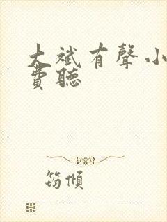 大斌有声小说免费听