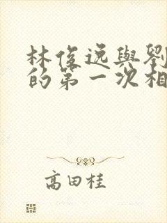 林俊逸与刘晓莉的第一次相遇小说