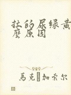 拉的尿绿黄是什么原因封面