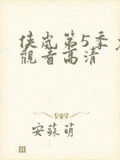 侠岚第5季免费观看高清