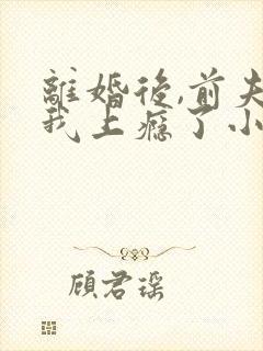 离婚后,前夫追我上瘾了小说