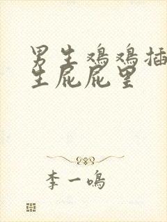 男生鸡鸡插到女生屁屁里