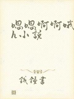 嗯嗯啊啊哦哦高h小说