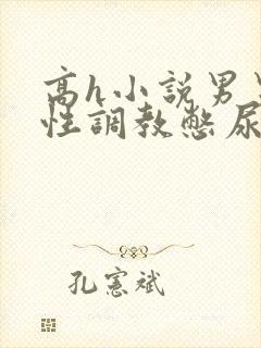 高h小说男男双性调教憋尿