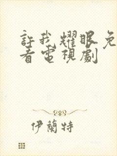 许我耀眼免费观看电视剧