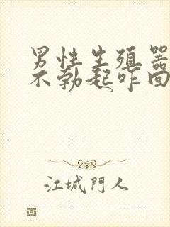 男性生殖器早晨不勃起咋回事