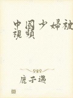 中国少妇被内射视频