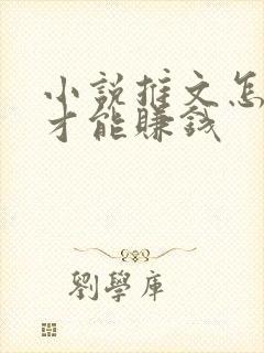 小说推文怎么弄才能赚钱