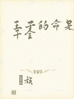 王子的命是恶役千金封面