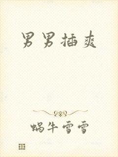 男男插爽封面