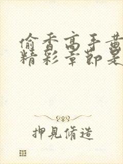 偷香高手黄蓉的精彩章节是哪一章封面