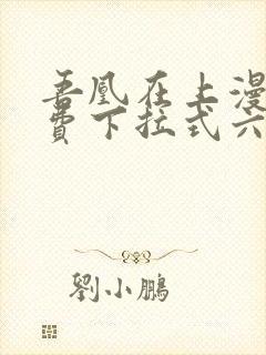 吾凰在上漫画免费下拉式六漫画