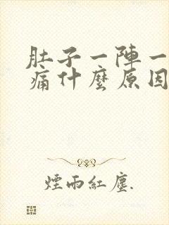 肚子一阵一阵刺痛什么原因