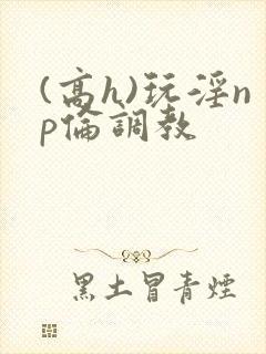 (高h)玩淫np伦调教