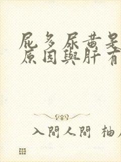 屁多尿黄是什么原因与肝有关系吗