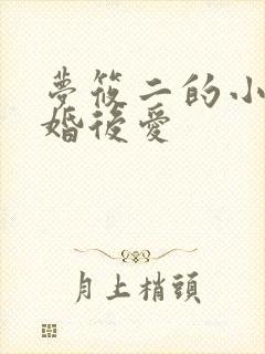 梦筱二的小说先婚后爱