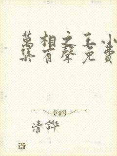 万相之王小说全集有声免费听