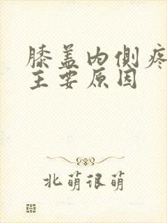 膝盖内侧疼痛的主要原因