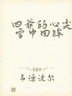 四爷的心尖宠妃 雪中回眸